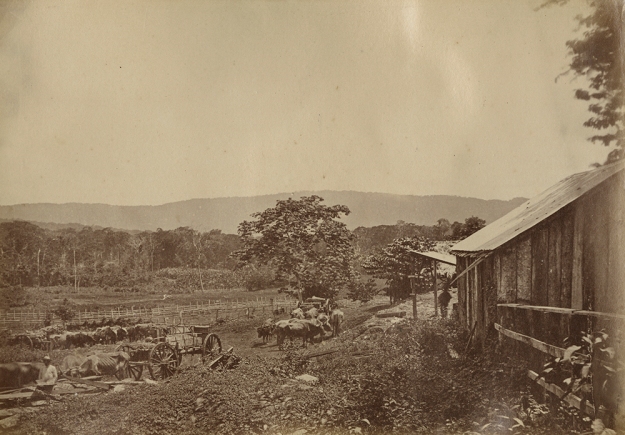 Minas del Callao y Caratal, Estado Bolívar, Venezuela. Siglo XIX.