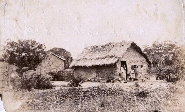 CAMPO CERCANO DE PUERTO CABELLO, PASO REAL, CIRCA 1890